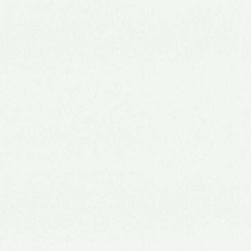 W100 White