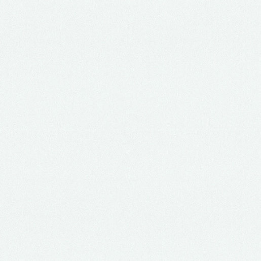 W300 White