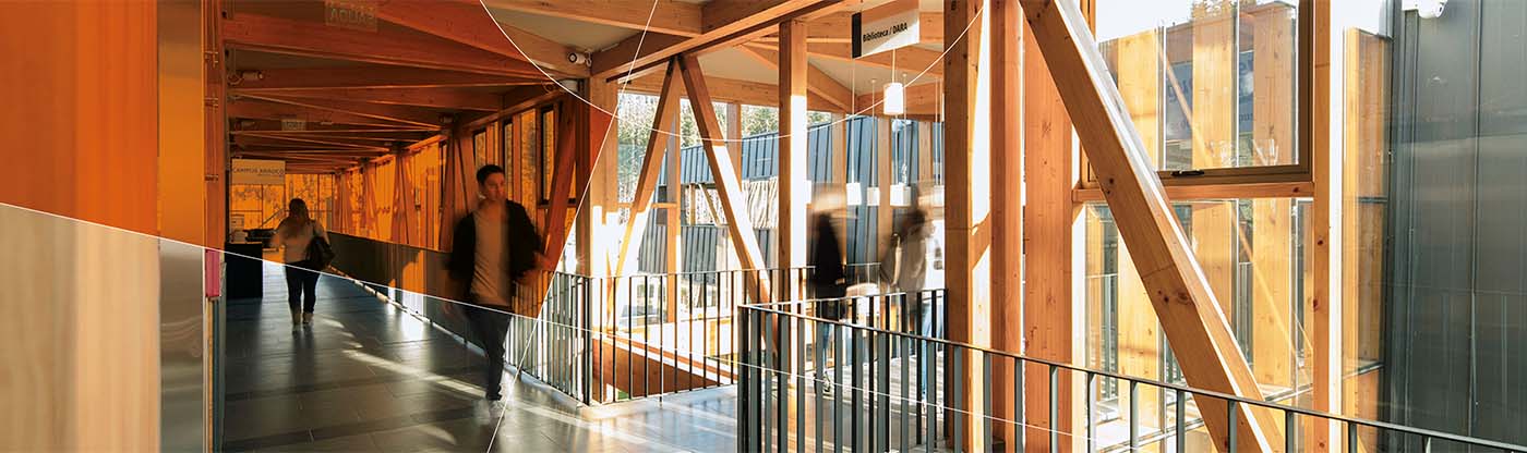 ARAUCO - North America office