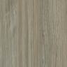 Prism WF445 Sahalie Pine
